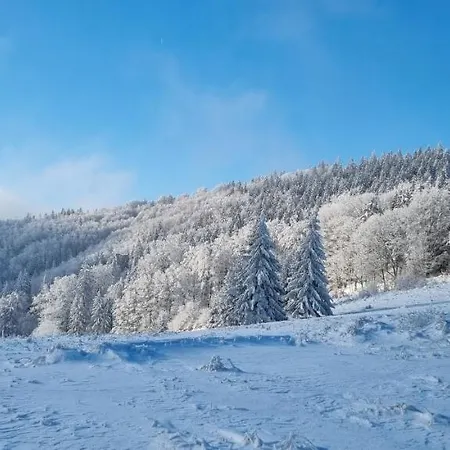 Grzmiaca Chatka Дом отдыха *